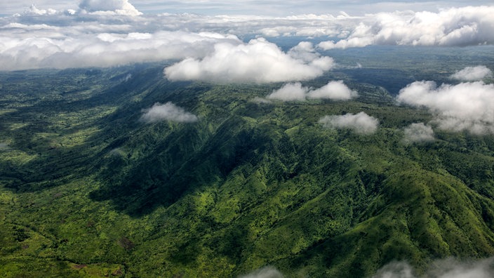 Luftaufnahme des Regenwalds im Kongo | Bildquelle: The NewYorkTimes/Redux/laif Luftaufnahme des Regenwalds im Kongo