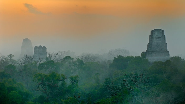 Maya-Tempel von Tikal im Sonnenaufgang | Bildquelle: WDR / INTERFOTO Maya-Tempel von Tikal im Sonnenaufgang