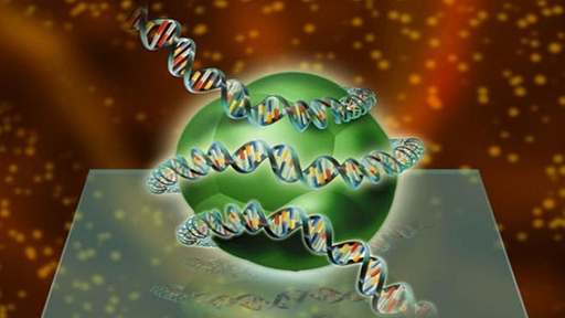 Zeichnung eines Histonkomplexes, um das sich eine DNS-Doppelhelix windet. | Bildquelle: Picture Alliance Zeichnung eines Histonkomplexes, um das sich eine DNS-Doppelhelix windet.