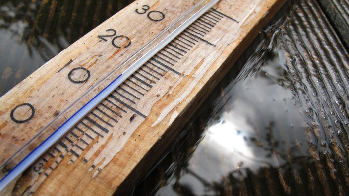 Historischer Holzthermometer | Bildquelle: akg-images/Karl-Josef Hildenbrand Historischer Holzthermometer